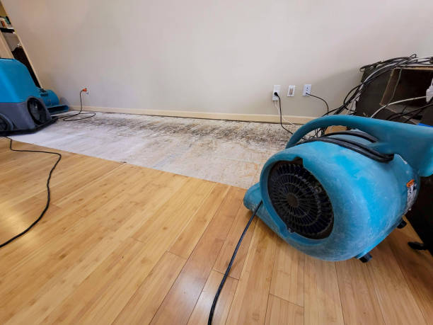 Professional Sewage Cleanup technician working in Oakley, UT